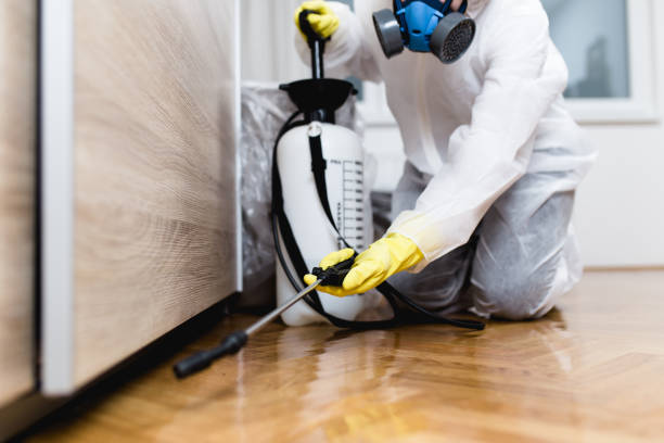 Best Pest Removal Services  in North Lewisburg, OH
