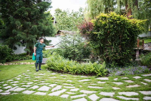 Best Pest Inspection Near Me  in North Lewisburg, OH