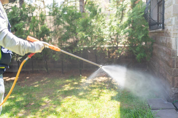 Best Best Pest Control Companies  in North Lewisburg, OH