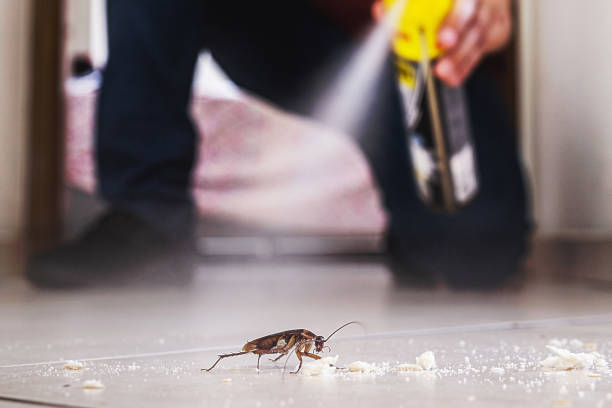 Wildlife Control Services in North Lewisburg, OH