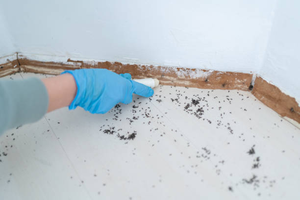 Pest Control for Restaurants in North Lewisburg, OH