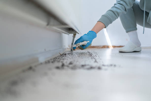 Best Emergency Pest Control  in North Lewisburg, OH